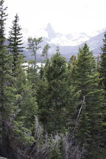 Filename=DSC_9437.jpg
Filesize=17741KiB
Dimensions=4912x7360
Date added=Sep 21, 2019 DSC_9437.jpg