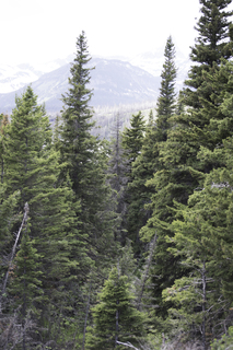 Filename=DSC_9438.jpg
Filesize=19414KiB
Dimensions=4912x7360
Date added=Sep 21, 2019 DSC_9438.jpg