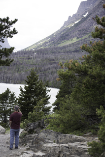 Filename=DSC_9444.jpg
Filesize=16782KiB
Dimensions=4912x7360
Date added=Sep 21, 2019 DSC_9444.jpg