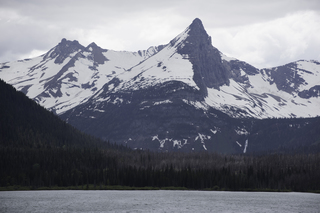 Filename=DSC_9450.jpg
Filesize=15123KiB
Dimensions=7360x4912
Date added=Sep 21, 2019 DSC_9450.jpg