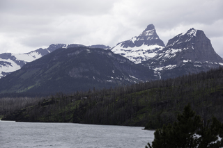 Filename=DSC_9455.jpg
Filesize=13909KiB
Dimensions=7360x4912
Date added=Sep 21, 2019 DSC_9455.jpg