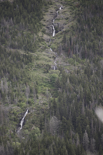 Filename=DSC_9471.jpg
Filesize=27050KiB
Dimensions=4912x7360
Date added=Sep 21, 2019 DSC_9471.jpg