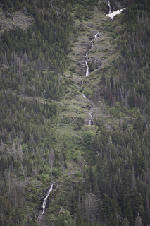 Filename=DSC_9472.jpg
Filesize=26806KiB
Dimensions=4912x7360
Date added=Sep 21, 2019 DSC_9472.jpg