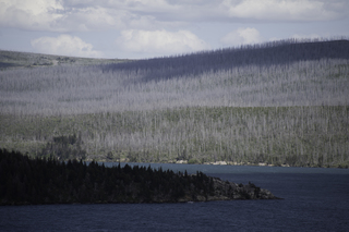 Filename=DSC_9478.jpg
Filesize=18565KiB
Dimensions=7360x4912
Date added=Sep 21, 2019 DSC_9478.jpg