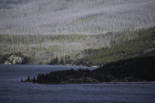 Filename=DSC_9479.jpg
Filesize=22496KiB
Dimensions=7360x4912
Date added=Sep 21, 2019 DSC_9479.jpg