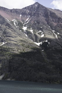 Filename=DSC_9494.jpg
Filesize=20728KiB
Dimensions=4912x7360
Date added=Sep 21, 2019 DSC_9494.jpg