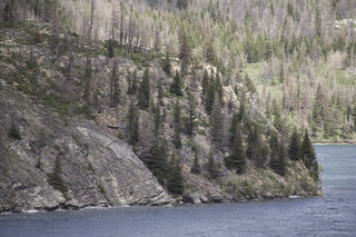 Filename=DSC_9498.jpg
Filesize=28231KiB
Dimensions=7360x4912
Date added=Sep 21, 2019 DSC_9498.jpg