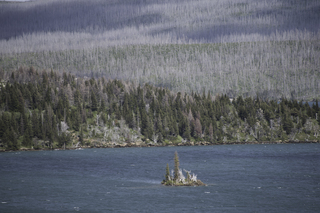 Filename=DSC_9499.jpg
Filesize=23981KiB
Dimensions=7360x4912
Date added=Sep 21, 2019 DSC_9499.jpg