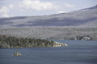 Filename=DSC_9501.jpg
Filesize=22030KiB
Dimensions=7360x4912
Date added=Sep 21, 2019 DSC_9501.jpg