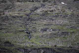 Filename=DSC_9509.jpg
Filesize=28542KiB
Dimensions=7360x4912
Date added=Sep 21, 2019 DSC_9509.jpg