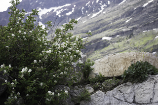 Filename=DSC_9510.jpg
Filesize=18577KiB
Dimensions=7360x4912
Date added=Sep 21, 2019 DSC_9510.jpg