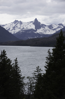 Filename=DSC_9515.jpg
Filesize=14203KiB
Dimensions=4912x7360
Date added=Sep 21, 2019 DSC_9515.jpg