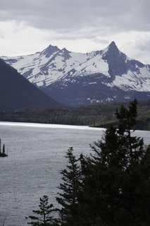 Filename=DSC_9525.jpg
Filesize=15868KiB
Dimensions=4912x7360
Date added=Sep 21, 2019 DSC_9525.jpg