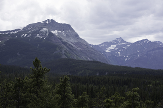 Filename=DSC_9531.jpg
Filesize=13913KiB
Dimensions=7360x4912
Date added=Sep 21, 2019 DSC_9531.jpg