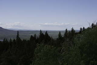 Filename=DSC_9535.jpg
Filesize=14008KiB
Dimensions=7360x4912
Date added=Sep 21, 2019 DSC_9535.jpg