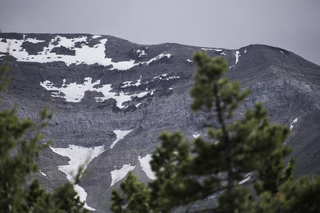 Filename=DSC_9540.jpg
Filesize=17094KiB
Dimensions=7360x4912
Date added=Sep 21, 2019 DSC_9540.jpg