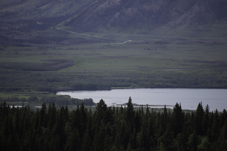 Filename=DSC_9545.jpg
Filesize=15542KiB
Dimensions=7360x4912
Date added=Sep 21, 2019 DSC_9545.jpg