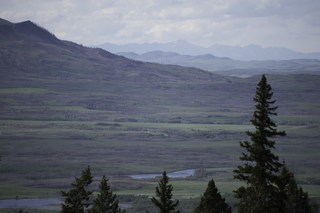 Filename=DSC_9547.jpg
Filesize=15393KiB
Dimensions=7360x4912
Date added=Sep 21, 2019 DSC_9547.jpg