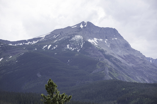 Filename=DSC_9551.jpg
Filesize=14599KiB
Dimensions=7360x4912
Date added=Sep 21, 2019 DSC_9551.jpg