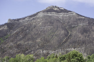 Filename=DSC_9561.jpg
Filesize=25366KiB
Dimensions=7360x4912
Date added=Sep 21, 2019 DSC_9561.jpg