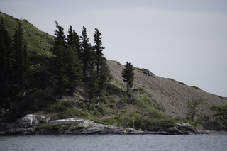 Filename=DSC_9563.jpg
Filesize=18273KiB
Dimensions=7360x4912
Date added=Sep 21, 2019 DSC_9563.jpg