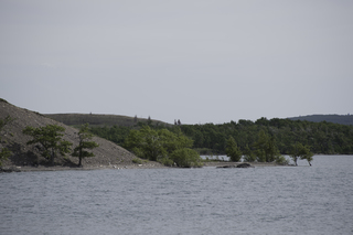 Filename=DSC_9564.jpg
Filesize=15911KiB
Dimensions=7360x4912
Date added=Sep 21, 2019 DSC_9564.jpg