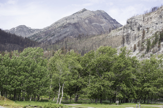 Filename=DSC_9573.jpg
Filesize=28357KiB
Dimensions=7360x4912
Date added=Sep 21, 2019 DSC_9573.jpg