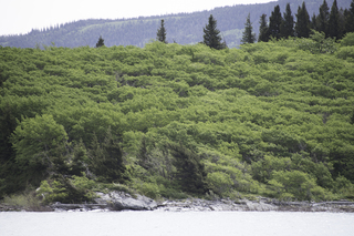 Filename=DSC_9583.jpg
Filesize=24637KiB
Dimensions=7360x4912
Date added=Sep 21, 2019 DSC_9583.jpg