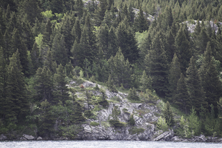 Filename=DSC_9584.jpg
Filesize=27665KiB
Dimensions=7360x4912
Date added=Sep 21, 2019 DSC_9584.jpg