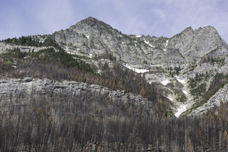 Filename=DSC_9614.jpg
Filesize=26070KiB
Dimensions=7360x4912
Date added=Sep 21, 2019 DSC_9614.jpg