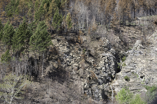 Filename=DSC_9617.jpg
Filesize=28431KiB
Dimensions=7360x4912
Date added=Sep 21, 2019 DSC_9617.jpg