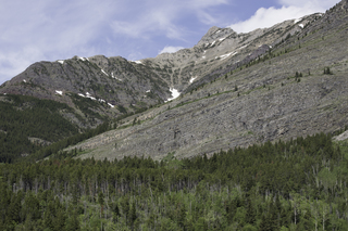 Filename=DSC_9629.jpg
Filesize=27652KiB
Dimensions=7360x4912
Date added=Sep 21, 2019 DSC_9629.jpg