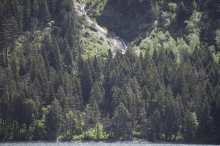 Filename=DSC_9643.jpg
Filesize=24949KiB
Dimensions=7360x4912
Date added=Sep 21, 2019 DSC_9643.jpg