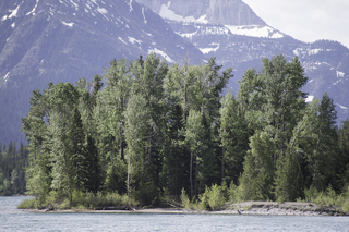 Filename=DSC_9649.jpg
Filesize=25367KiB
Dimensions=7360x4912
Date added=Sep 21, 2019 DSC_9649.jpg