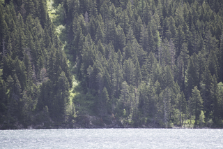 Filename=DSC_9653.jpg
Filesize=25747KiB
Dimensions=7360x4912
Date added=Sep 21, 2019 DSC_9653.jpg