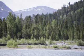 Filename=DSC_9656.jpg
Filesize=25656KiB
Dimensions=7360x4912
Date added=Sep 21, 2019 DSC_9656.jpg