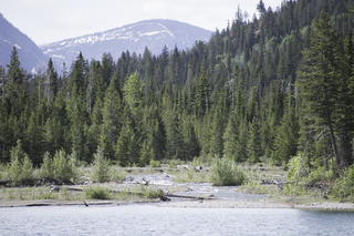 Filename=DSC_9660.jpg
Filesize=24372KiB
Dimensions=7360x4912
Date added=Sep 21, 2019 DSC_9660.jpg