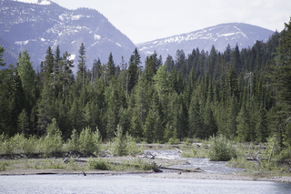 Filename=DSC_9664.jpg
Filesize=22208KiB
Dimensions=7360x4912
Date added=Sep 21, 2019 DSC_9664.jpg