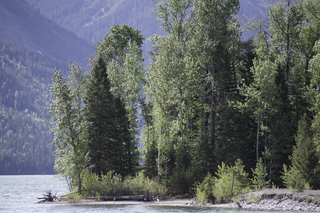 Filename=DSC_9665.jpg
Filesize=27664KiB
Dimensions=7360x4912
Date added=Sep 21, 2019 DSC_9665.jpg