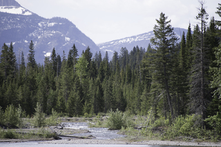 Filename=DSC_9666.jpg
Filesize=22292KiB
Dimensions=7360x4912
Date added=Sep 21, 2019 DSC_9666.jpg