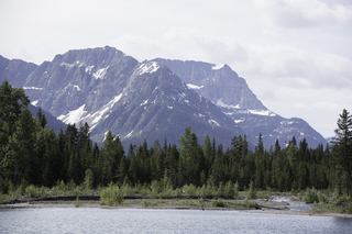 Filename=DSC_9668.jpg
Filesize=18312KiB
Dimensions=7360x4912
Date added=Sep 21, 2019 DSC_9668.jpg