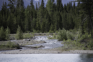 Filename=DSC_9674.jpg
Filesize=23550KiB
Dimensions=7360x4912
Date added=Sep 21, 2019 DSC_9674.jpg