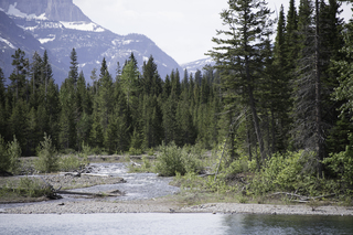 Filename=DSC_9675.jpg
Filesize=23926KiB
Dimensions=7360x4912
Date added=Sep 21, 2019 DSC_9675.jpg