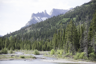 Filename=DSC_9681.jpg
Filesize=20926KiB
Dimensions=7360x4912
Date added=Sep 21, 2019 DSC_9681.jpg