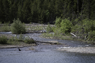 Filename=DSC_9683.jpg
Filesize=22913KiB
Dimensions=7360x4912
Date added=Sep 21, 2019 DSC_9683.jpg