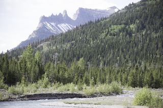 Filename=DSC_9687.jpg
Filesize=23977KiB
Dimensions=7360x4912
Date added=Sep 21, 2019 DSC_9687.jpg