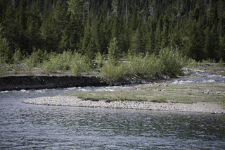 Filename=DSC_9688.jpg
Filesize=26069KiB
Dimensions=7360x4912
Date added=Sep 21, 2019 DSC_9688.jpg