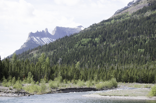 Filename=DSC_9690.jpg
Filesize=21731KiB
Dimensions=7360x4912
Date added=Sep 21, 2019 DSC_9690.jpg