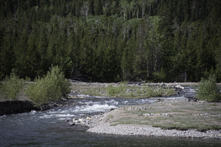 Filename=DSC_9692.jpg
Filesize=24880KiB
Dimensions=7360x4912
Date added=Sep 21, 2019 DSC_9692.jpg