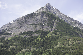 Filename=DSC_9693.jpg
Filesize=21720KiB
Dimensions=7360x4912
Date added=Sep 21, 2019 DSC_9693.jpg